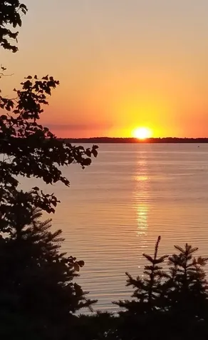 29823 Highland Loop Battle Lake MN 56515