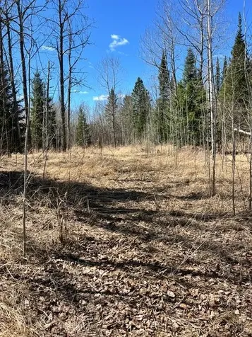 10354 County Road 553 Nashwauk MN 55769