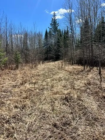 10354 County Road 553 Nashwauk MN 55769