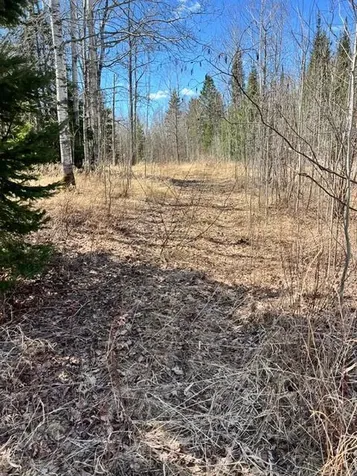 10354 County Road 553 Nashwauk MN 55769