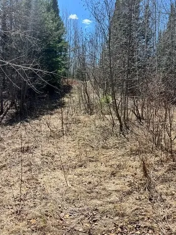 10354 County Road 553 Nashwauk MN 55769