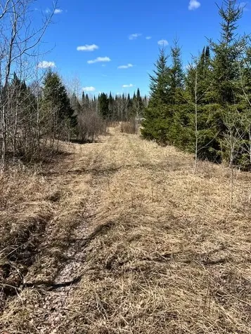 10354 County Road 553 Nashwauk MN 55769