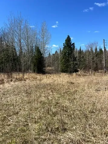 10354 County Road 553 Nashwauk MN 55769