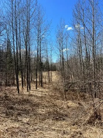 10354 County Road 553 Nashwauk MN 55769