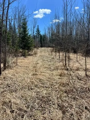 10354 County Road 553 Nashwauk MN 55769