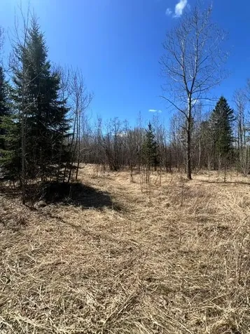 10354 County Road 553 Nashwauk MN 55769