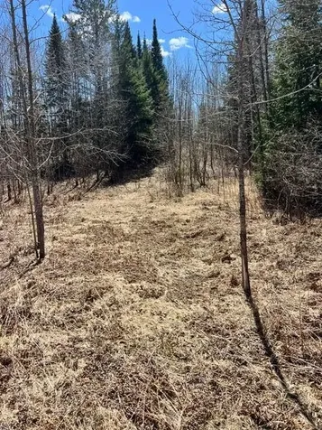 10354 County Road 553 Nashwauk MN 55769