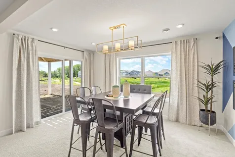 914 Big Woods Drive Delano MN 55328