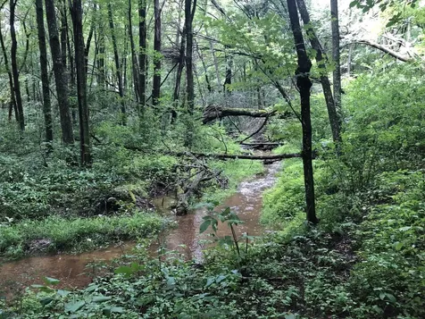 15865 Quality Trail N Scandia MN 55073