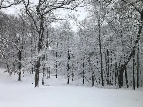 15865 Quality Trail N Scandia MN 55073