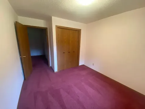 21783 Statesboro Drive Clitherall MN 56524