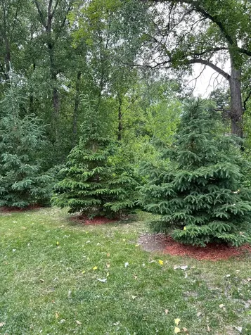 4165 Hilltop Point Eagan MN 55123