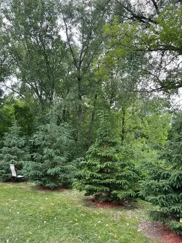 4165 Hilltop Point Eagan MN 55123