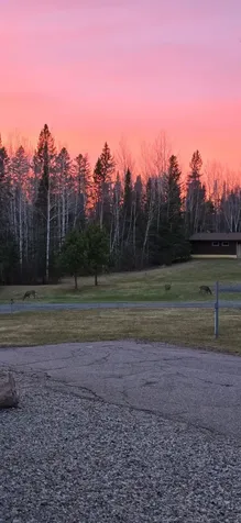 5713 Crane Lake Road Buyck MN 55771
