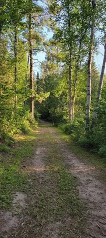 5713 Crane Lake Road Buyck MN 55771