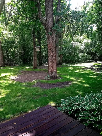 728 S Woodland Drive Fergus Falls MN 56537
