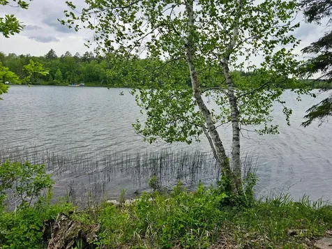 35365 E Boot Lake Road Park Rapids MN 56470
