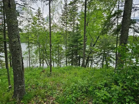 35365 E Boot Lake Road Park Rapids MN 56470