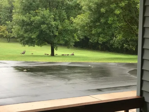 18720 114th Street SE Big Lake MN 55309