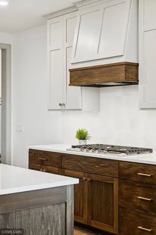 5042 Airlake Draw Woodbury MN 55129