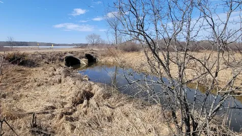Tbd 513th Ave E, Tract E Ottertail MN 56571