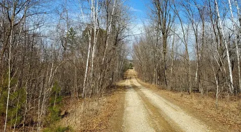 Tbd 513th Ave E, Tract E Ottertail MN 56571