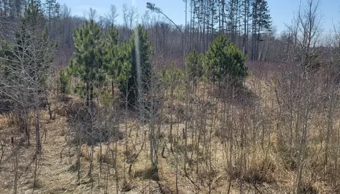 Tbd 513th Ave E, Tract E Ottertail MN 56571