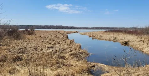 Tbd 513th Ave E, Tract E Ottertail MN 56571