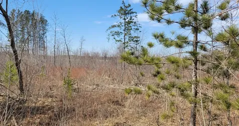 Tbd 513th Ave E, Tract E Ottertail MN 56571