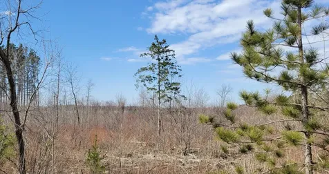 Tbd 513th Ave E, Tract E Ottertail MN 56571