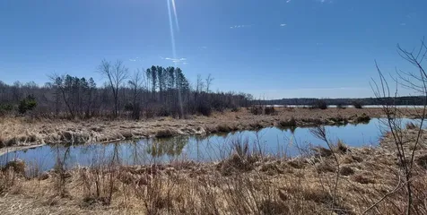 Tbd 513th Ave E, Tract E Ottertail MN 56571