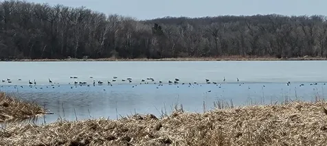 Tbd 513th Ave E, Tract E Ottertail MN 56571