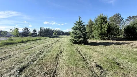 Tbd Tall Pine Lane Cloquet MN 55720