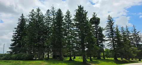 32236 County 105 Lanesboro MN 55949