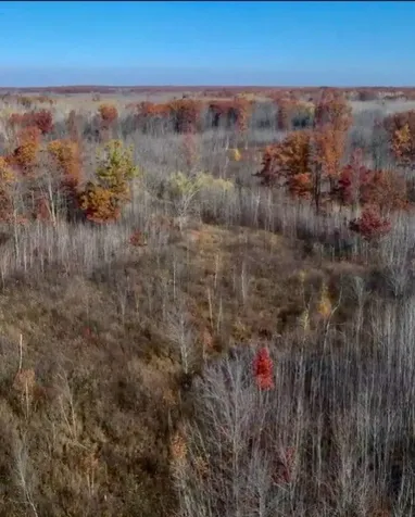 64997 Rutabaga Road Sandstone MN 55072