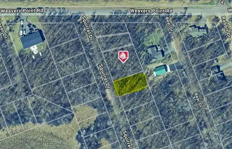 Xxx Tbd Lot 175 Squirrel Drive Breezy Point MN 56472