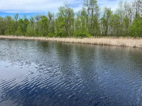 54654 Highway 72 NE Waskish MN 56685