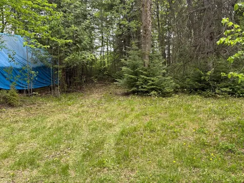 54654 Highway 72 NE Waskish MN 56685