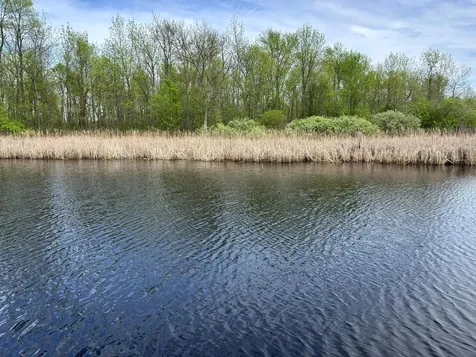 54654 Highway 72 NE Waskish MN 56685