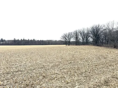 Tbd 400th Street New York Mills MN 56567