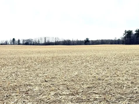 Tbd 400th Street New York Mills MN 56567