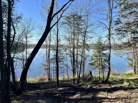 37178 N Courage Drive (Lot 4) Lake George MN 56458