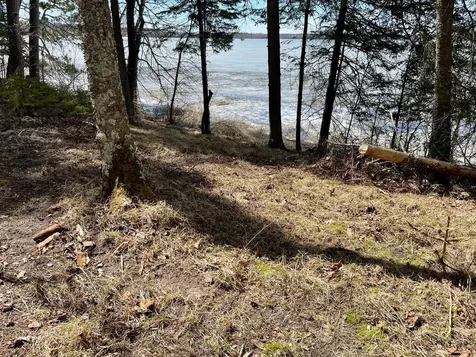 37150 N Courage Dr. (Lot 1) Lake George MN 56458