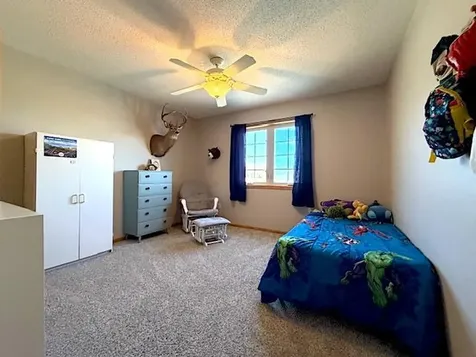 12710 Carow Circle Frazee MN 56544