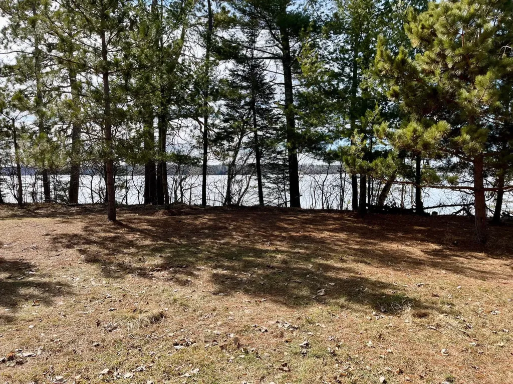 37152 N Courage Drive (Lot 2) Lake George MN 56458