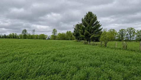 Tdb County Road 453 Bovey MN 55709