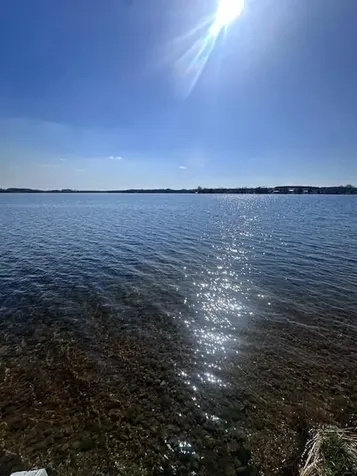 12464 Shorewood Beach Road Detroit Lakes MN 56501