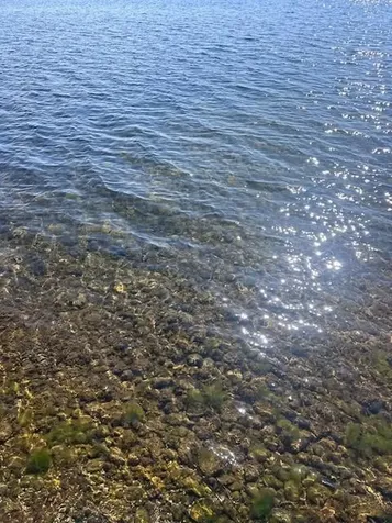 12464 Shorewood Beach Road Detroit Lakes MN 56501