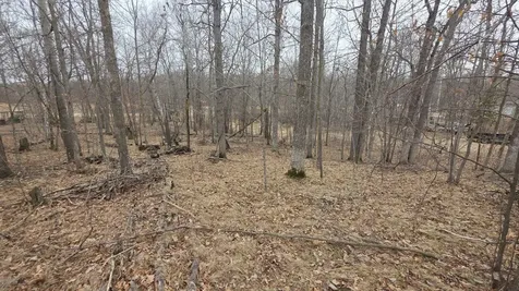 Tbd SW Pickerel Lake Road Detroit Lakes MN 56511