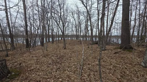 Tbd SW Pickerel Lake Road Detroit Lakes MN 56511